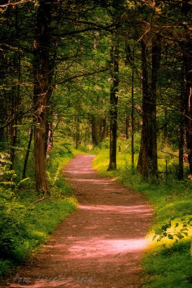 14559075443_c74c99d0b0_z