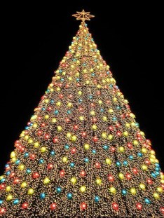 3256600449_6a5b161ca1_z-2