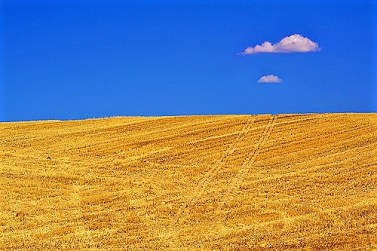 3895965016_e627806b46_z (2)