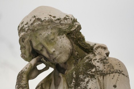 407839678_ee8d1fecec_z