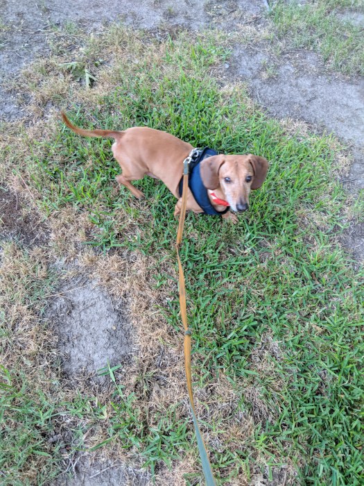 Maker:S,Date:2017-3-23,Ver:6,Lens:Kan03,Act:Lar02,E-Y