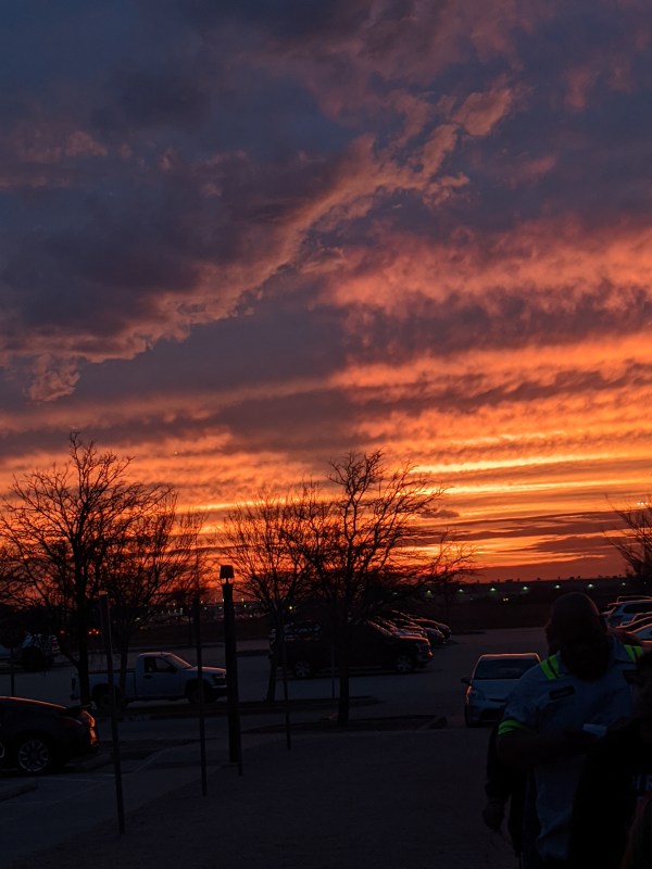 MVIMG_20200303_183728